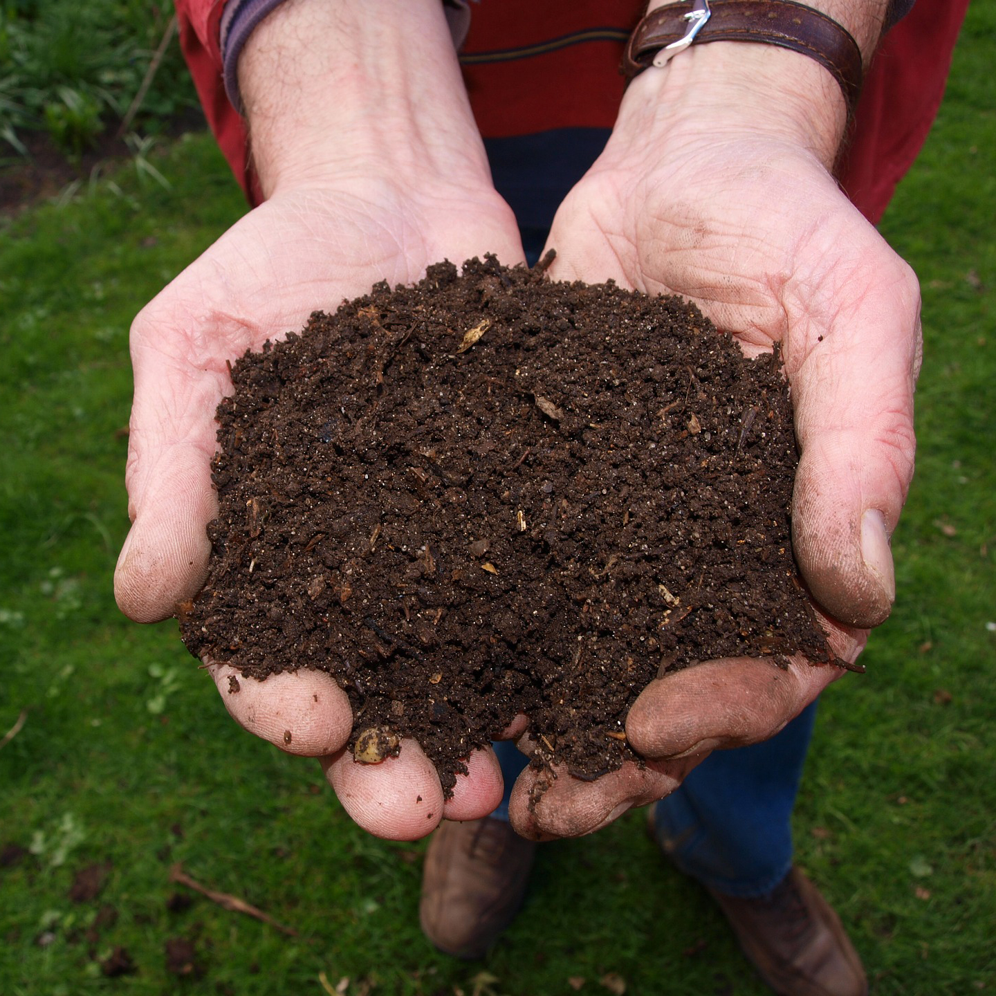 Basic Composting