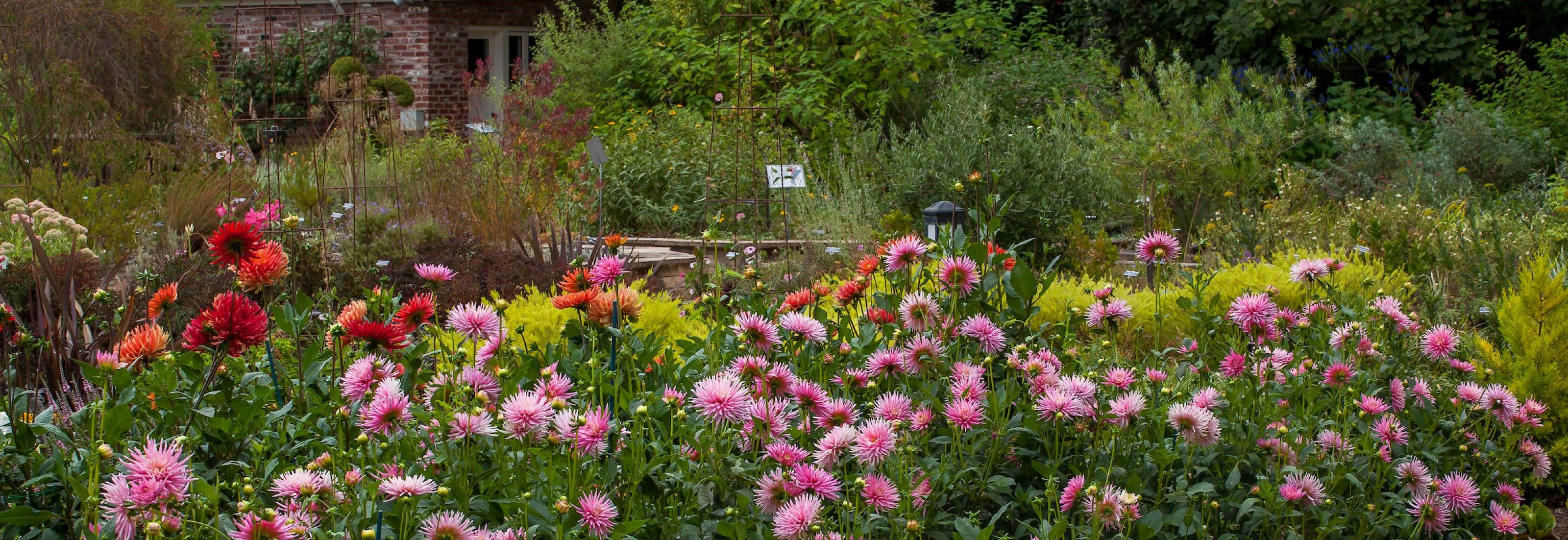 Herbs Word Search Gamble Garden