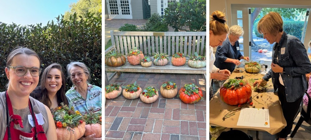 Succulent Pumpkin Workshop 2024